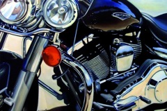 Harley-Oil-on-canvas-80-cm-x-50-cm